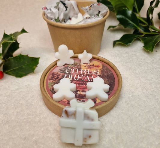 Citrus Dream Waxmelt