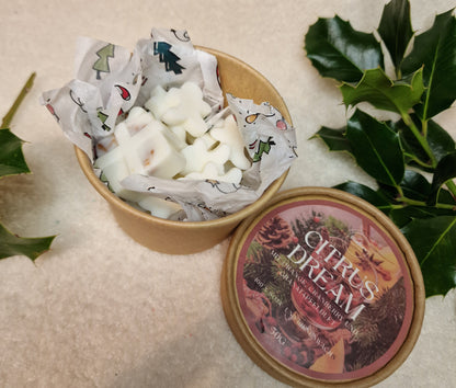 Citrus Dream Waxmelt