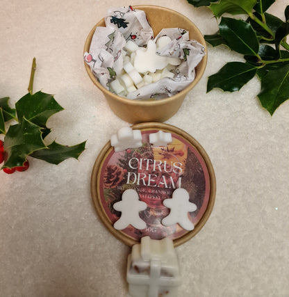 Citrus Dream Waxmelt